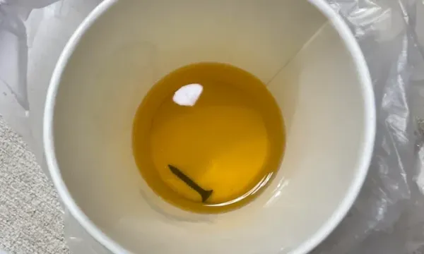 Load failed