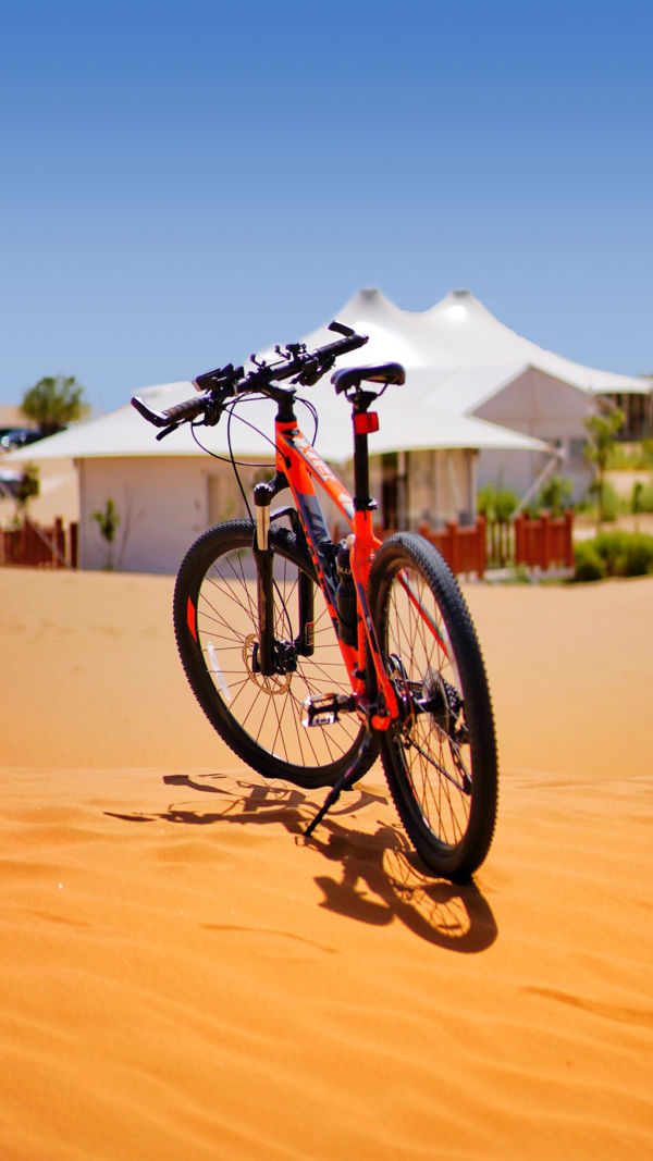 A Bicycle Overview