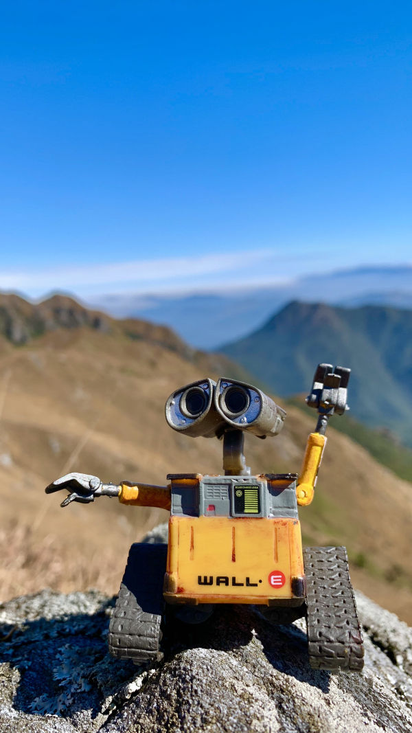 Cute Robot Wall-E