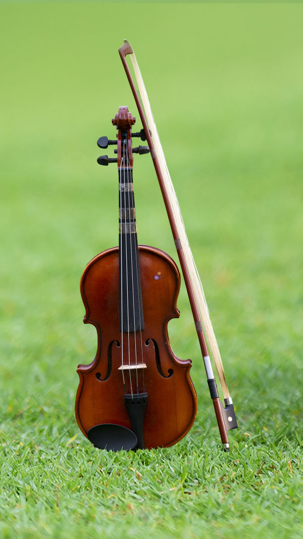 Queen Of Musical Instruments