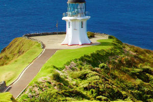 North Island Highlights