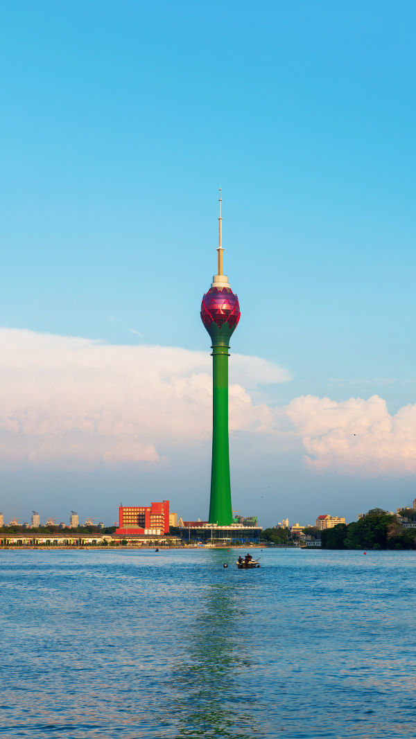 Blooming Lotus Tower