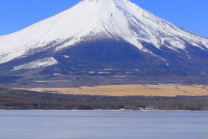 Fuji Iconic Majesty Unveiled