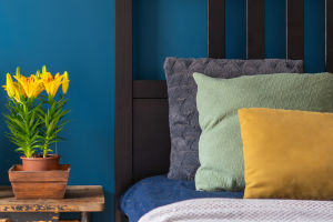 Color Matching Guidelines