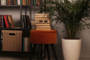 The Layout Bookshelves