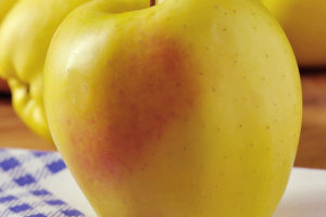 Golden Apples