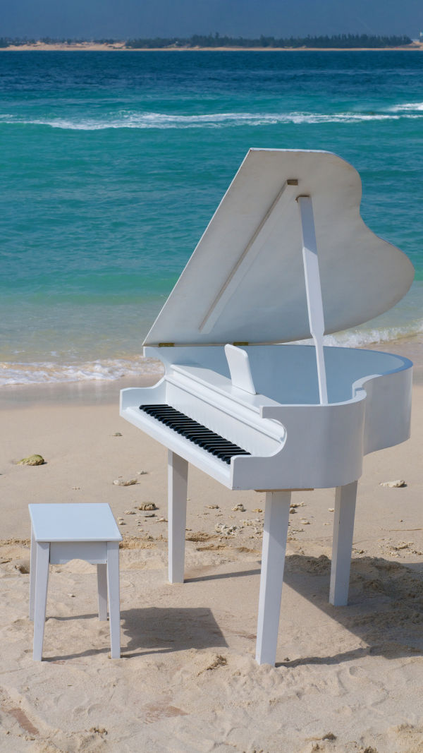 Elegance In Every Note