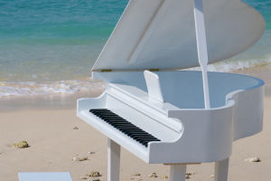 Elegance In Every Note