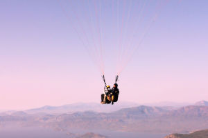Fly Free