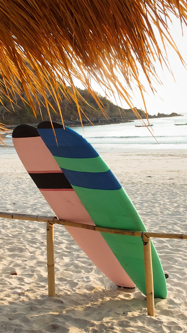 Surfing Basics