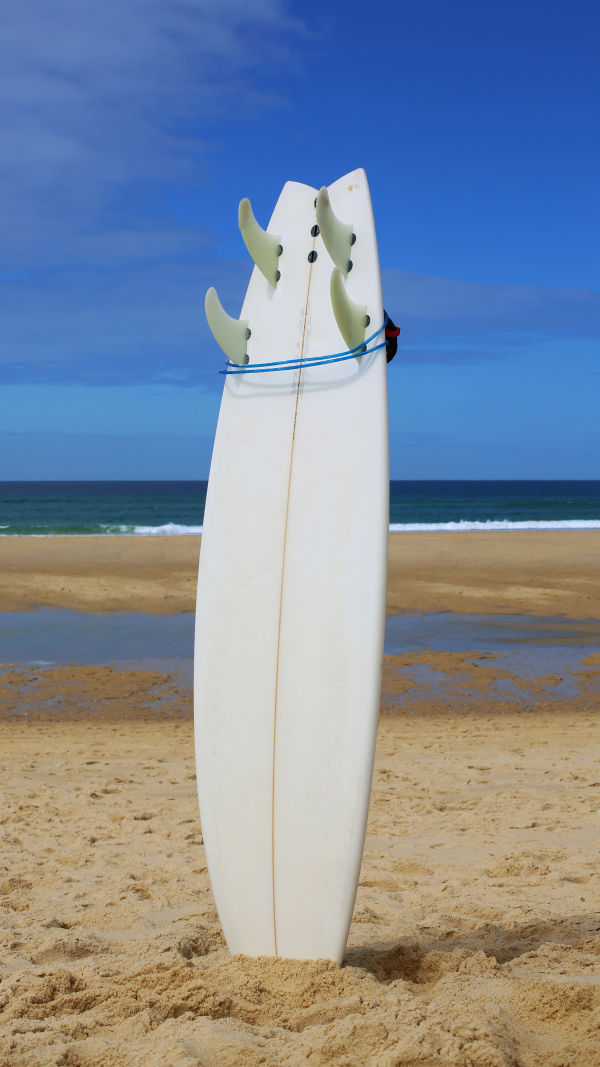 Riding Waves of Wonder