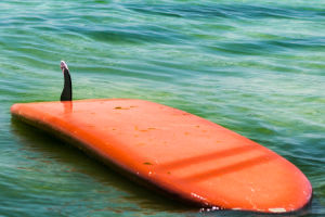 Catch The Wave