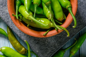 Sizzling Sensations