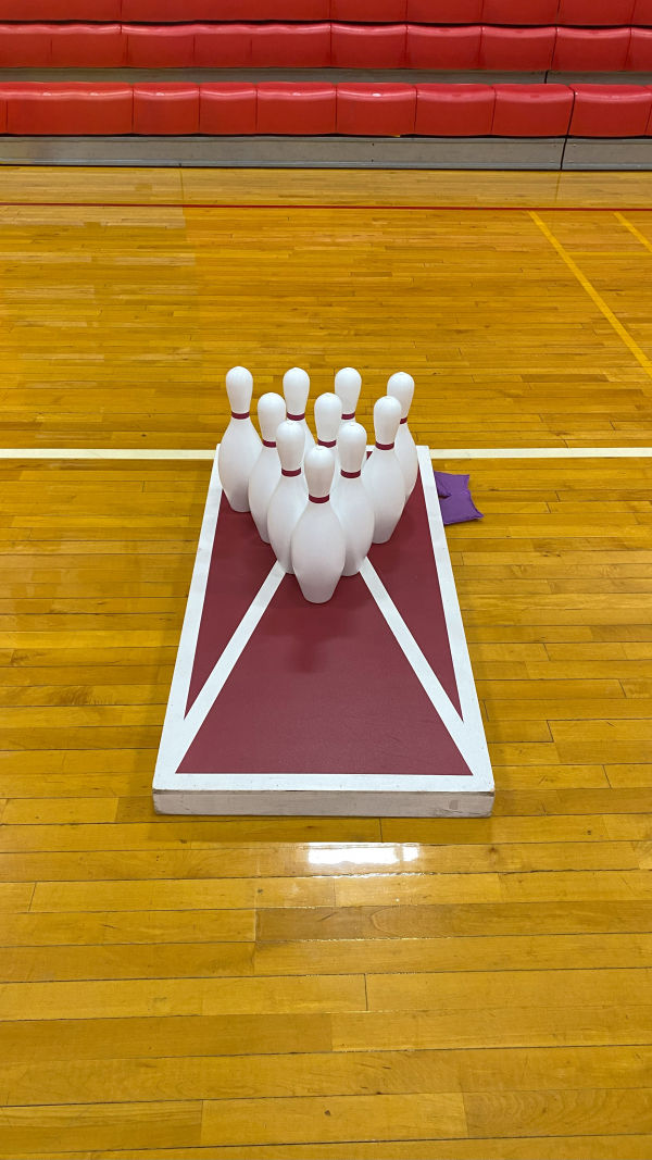 Bowling: Precision And Fun