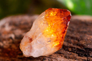 Beauty Unearthed