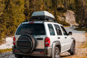 Travel The Road Of Life