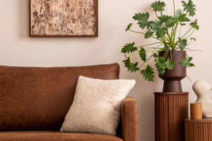 Furniture Color Harmony