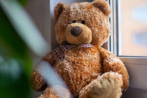 Charming Teddy Bear