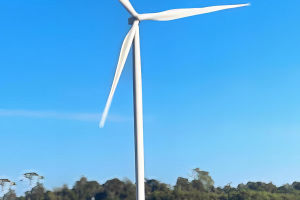 Empowering The Future