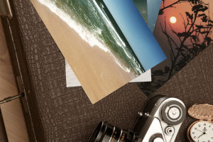 World Photography Day