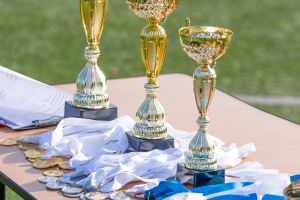 12 Soccer Game Trophies
