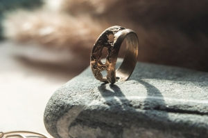 Evolution Of Rings