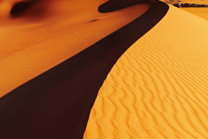 Lost Oasis