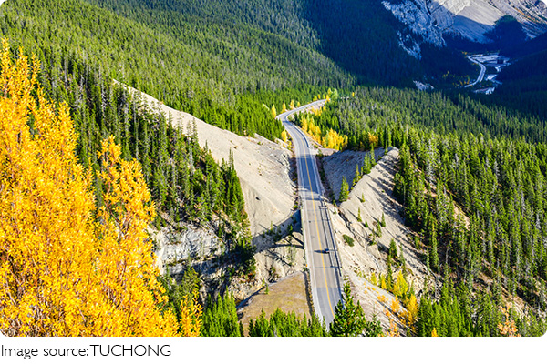 Waterton: Doğanın Kalbi