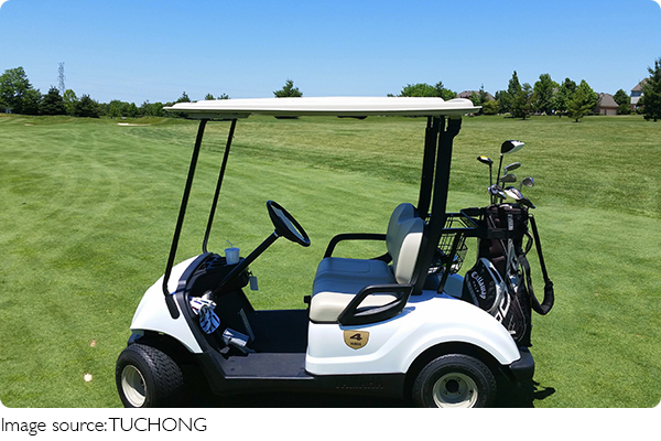 Luxury Golf Experience