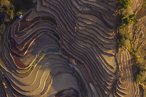 Global Wonders