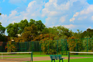 Tennis Court Types