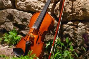 Italian Violin Evolution