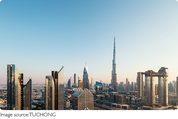 A Week in Dubai