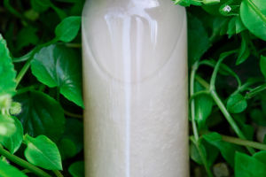 Nourish Naturally