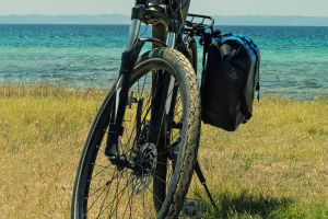 Bicycles: Green Mobility