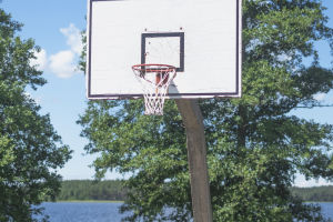 Global Hoops Impact