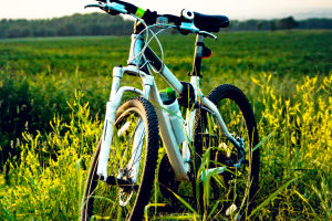 Riding for Health