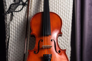 Violin's Musical Odyssey