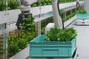 Cultivating Tomorrow