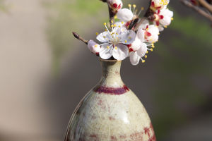 Floral Harmony