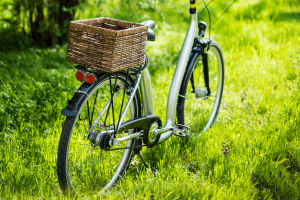 Bicycle Evolution Timeline