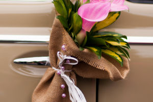 Elegance in Every Petal