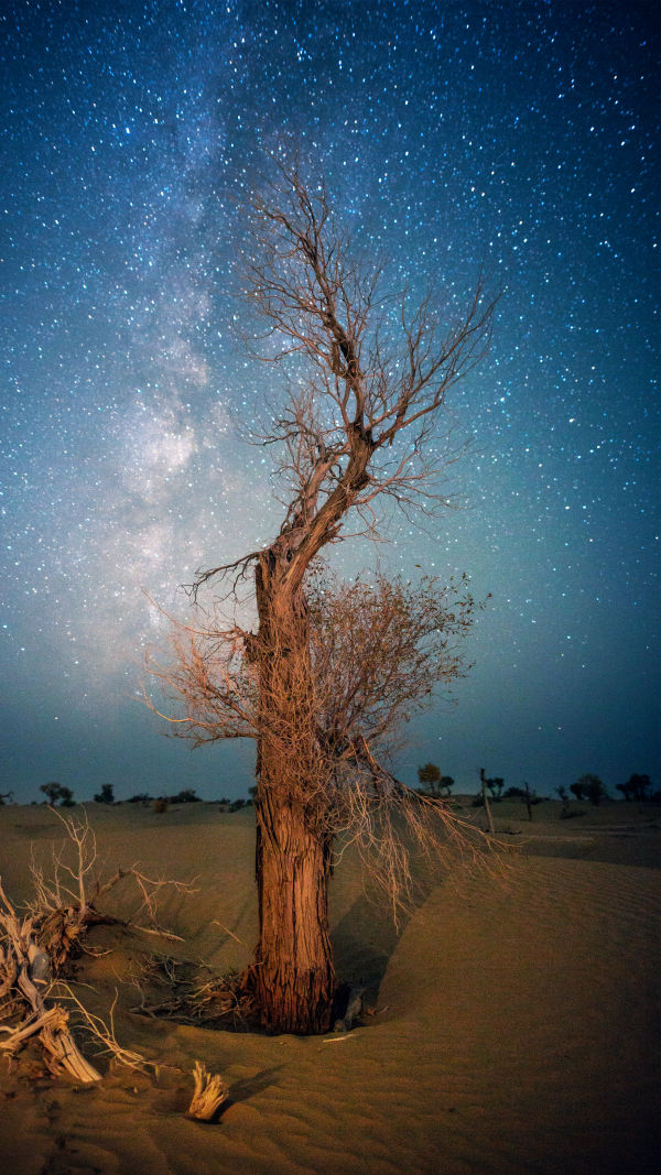 Capturing The Arid Beauty