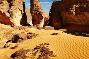 Arid Terrain Dynamics