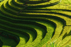 Slope Farming Methods