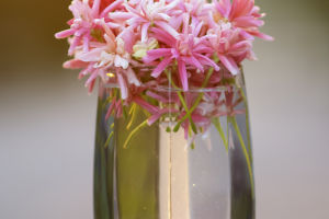 Flower Care