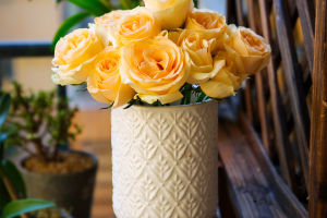 Floral Elegance Unveiled
