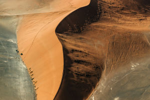 Desert Sand And Construction