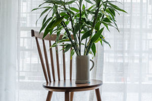 Home Decoration