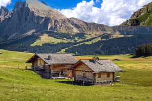 Build A Cabin